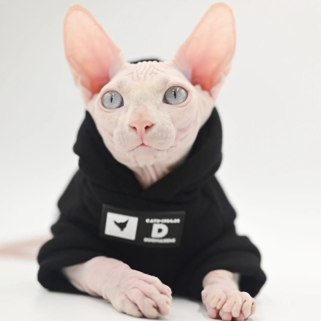 DUMASUMI® Streetwear Cat Hoodie