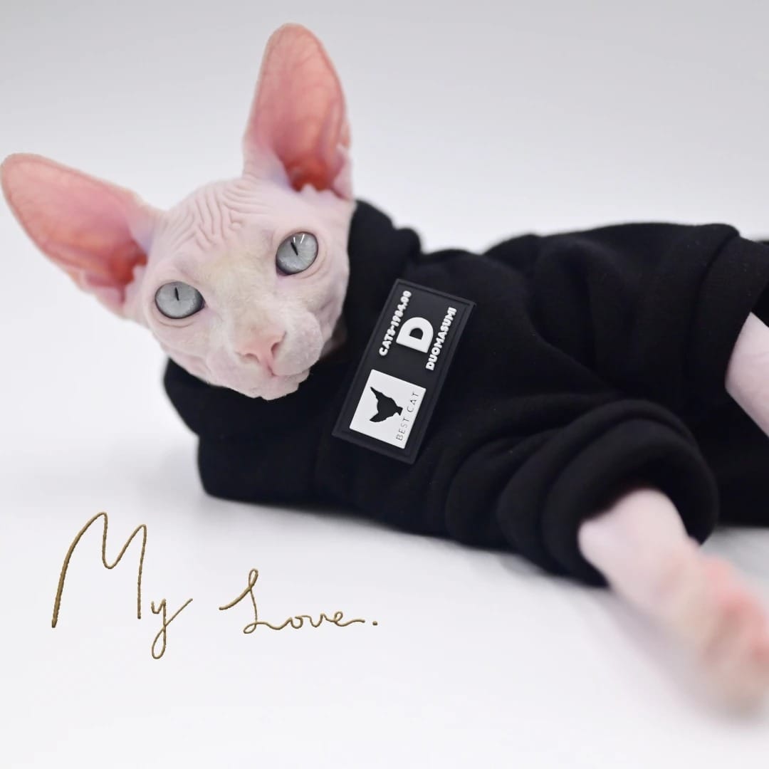 DUMASUMI® Streetwear Cat Hoodie