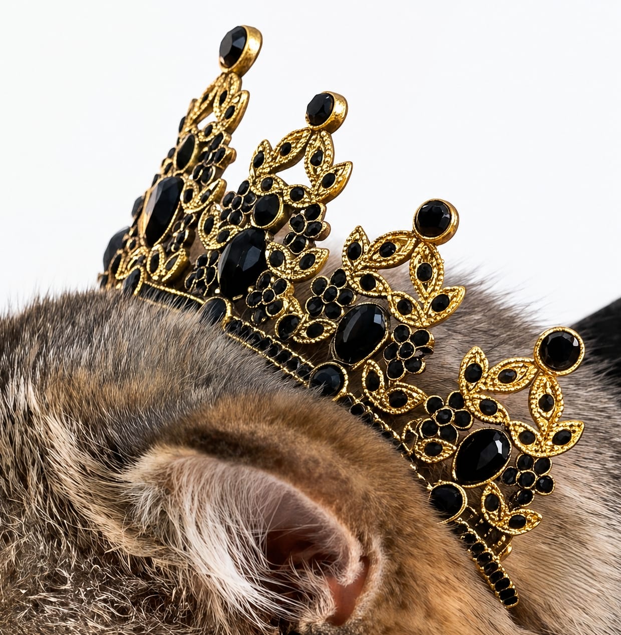 Royal Cat® King Costume Crown Set