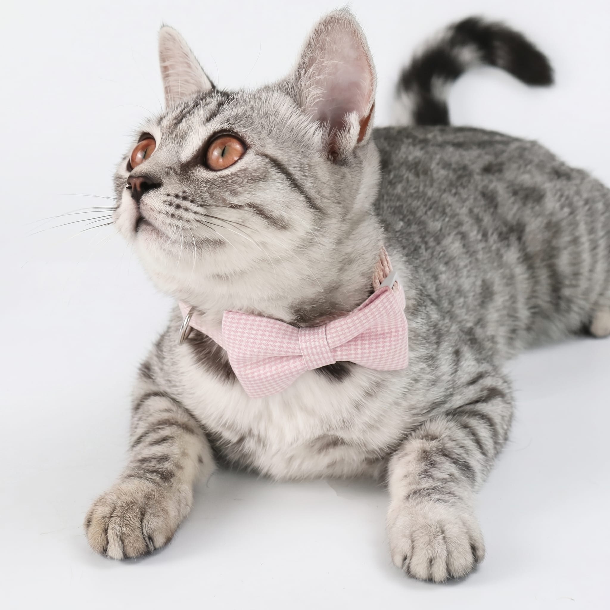 Classic Gingham Cat Bow Tie Collar