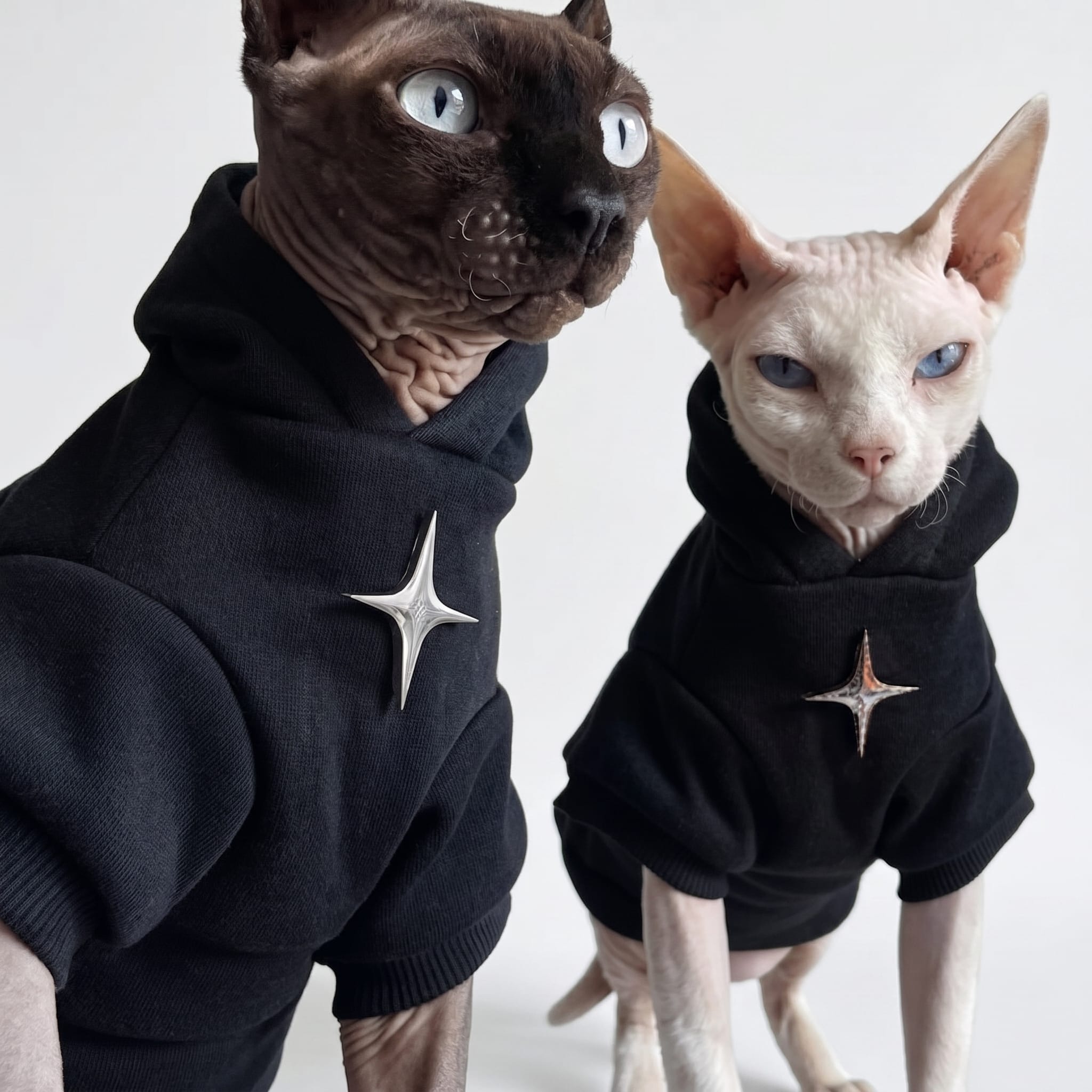 Streetwear Star® Cat Hoodie