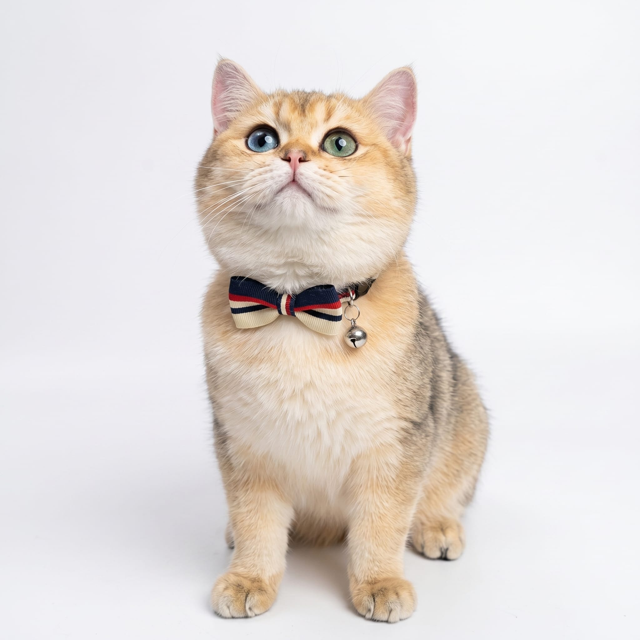 Striped Gentleman Cat Bow Tie Collar with Bell