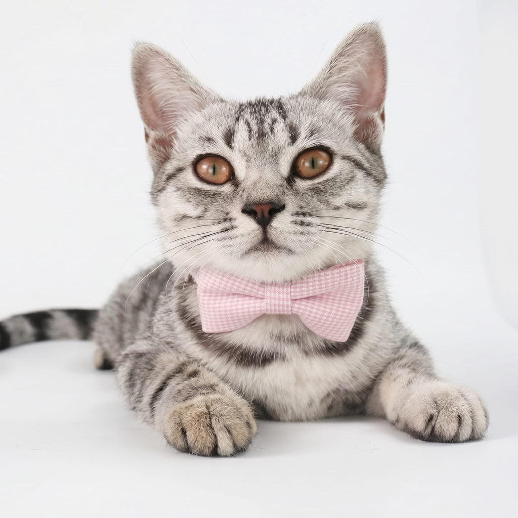 Classic Gingham Cat Bow Tie Collar