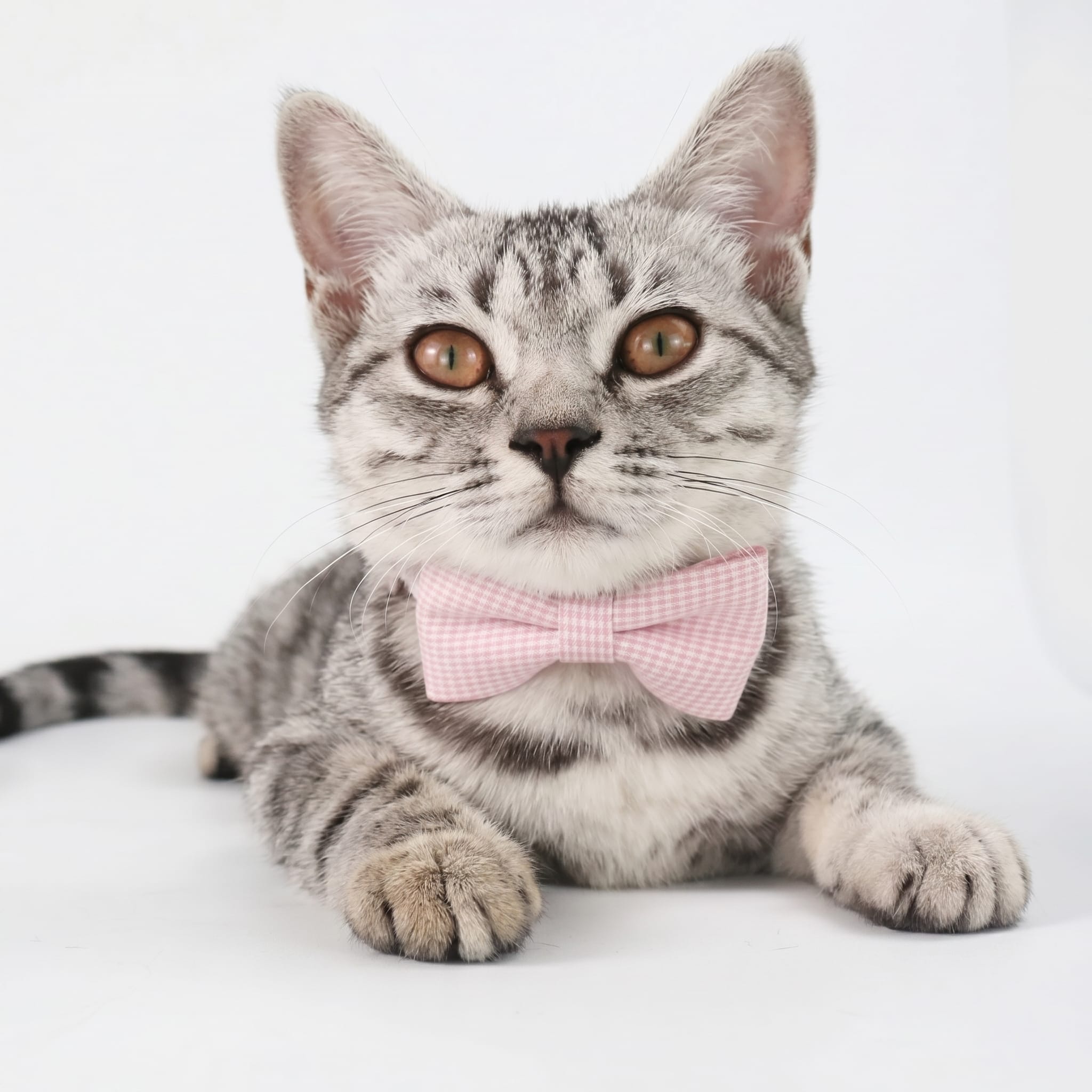 Classic Gingham Cat Bow Tie Collar
