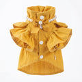 Luxury Golden Bow Designer Cat Dress