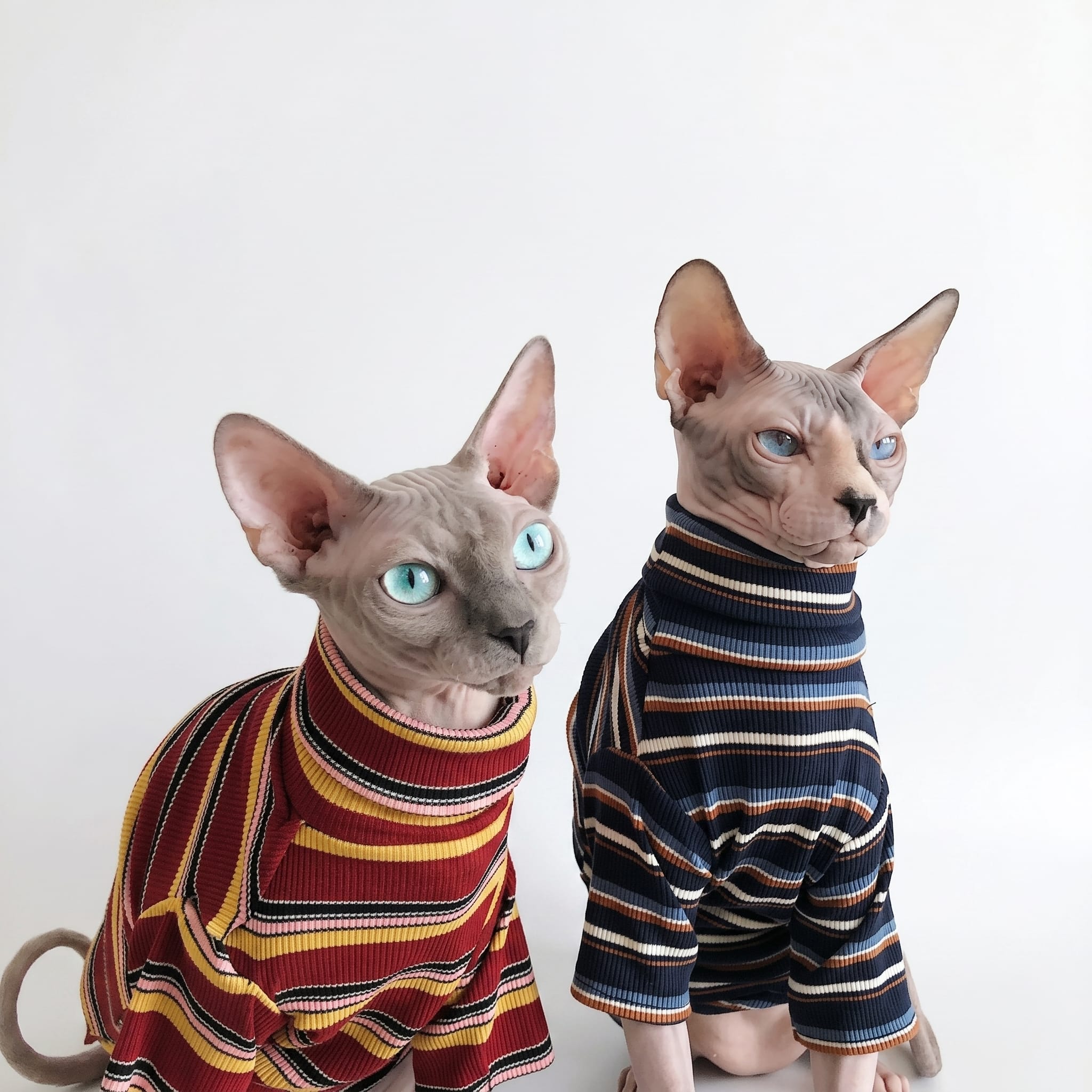 Retro Stripe Cat Knit Sweater