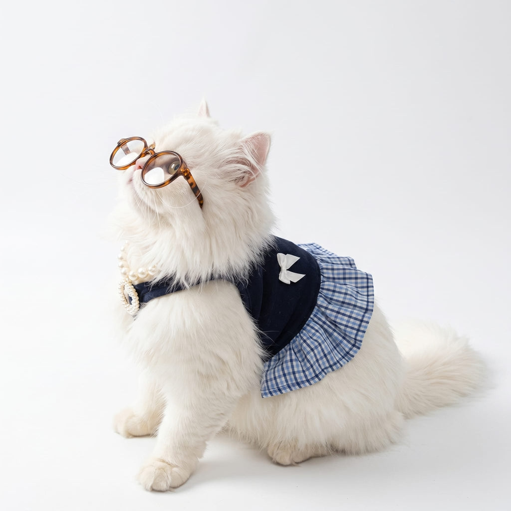 Preppy Schoolgirl Cat Dress Set