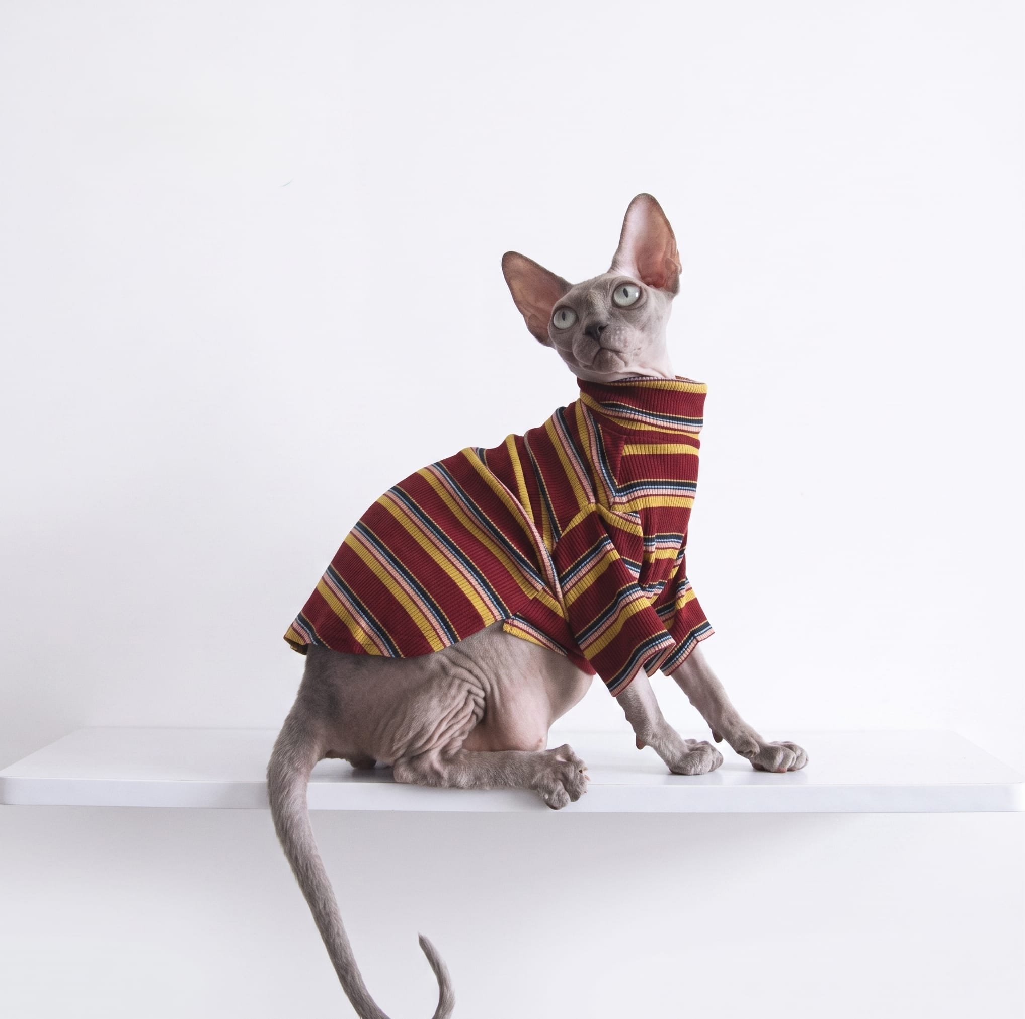 Retro Stripe Cat Knit Sweater
