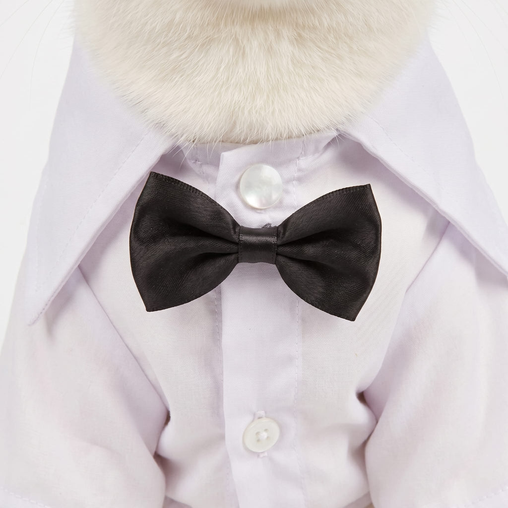 Formal Cat Shirt & Bow Tie Suit