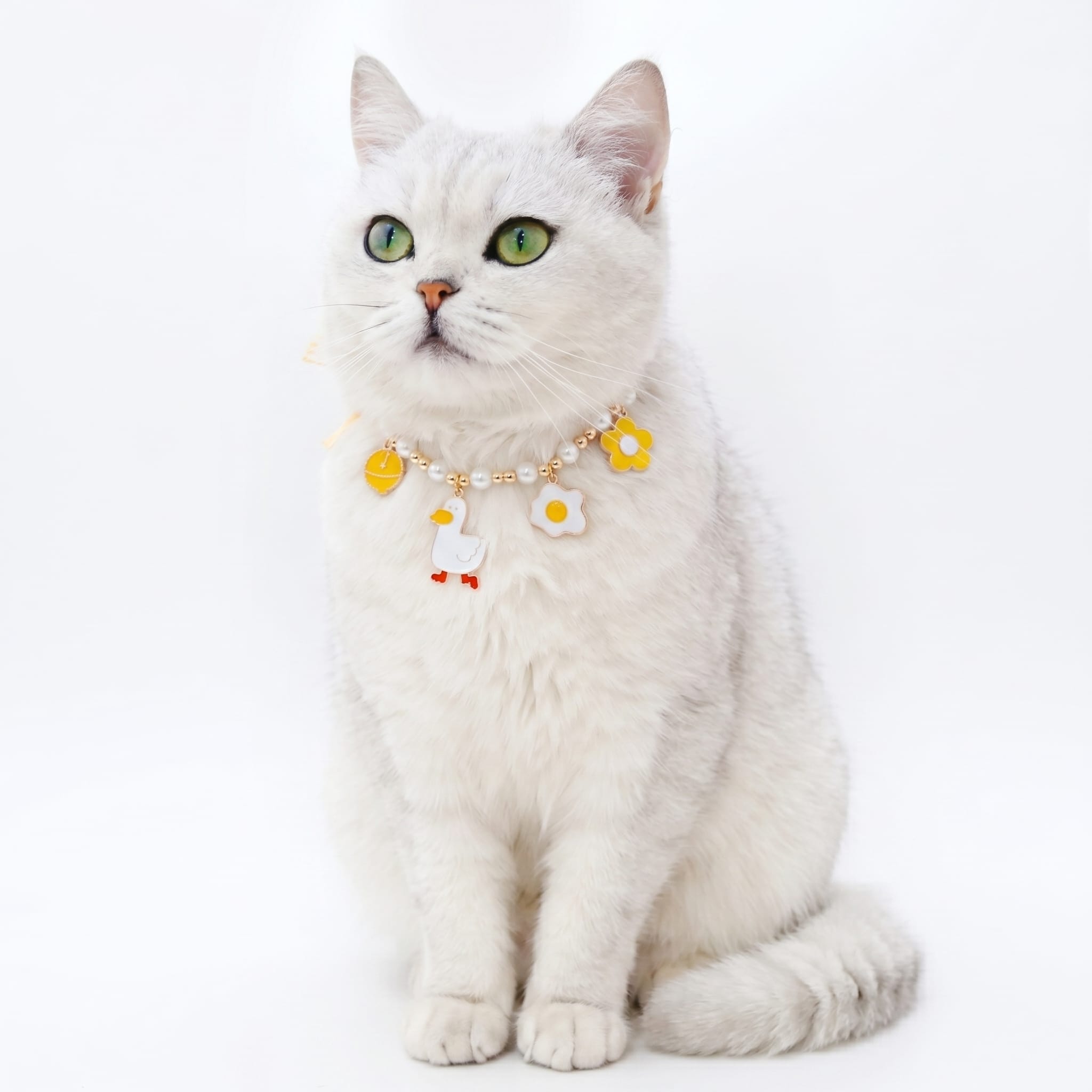Charm Cat Necklace Collar