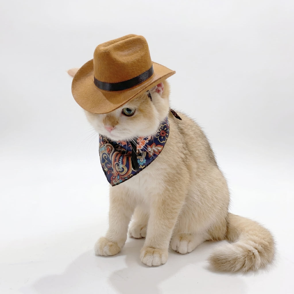 Western Cowboy Cat Costume Hat