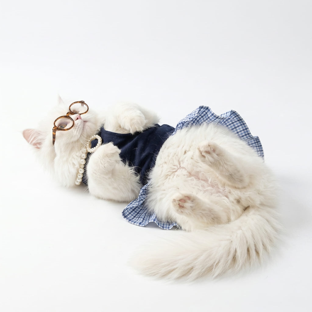 Preppy Schoolgirl Cat Dress Set