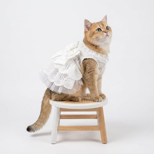 Cat Bride Dress