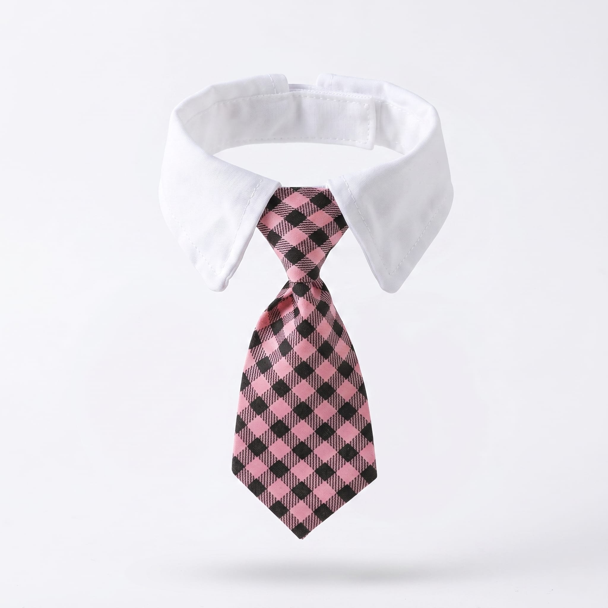 Formal Cat Shirt Collar with Neck Tie