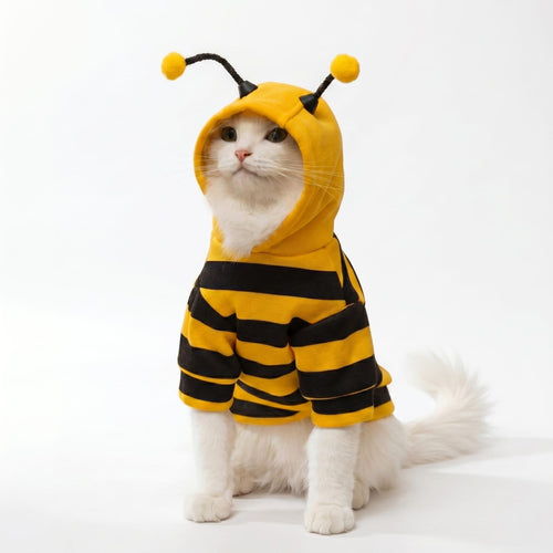 Bee Costume Cat Hoodie