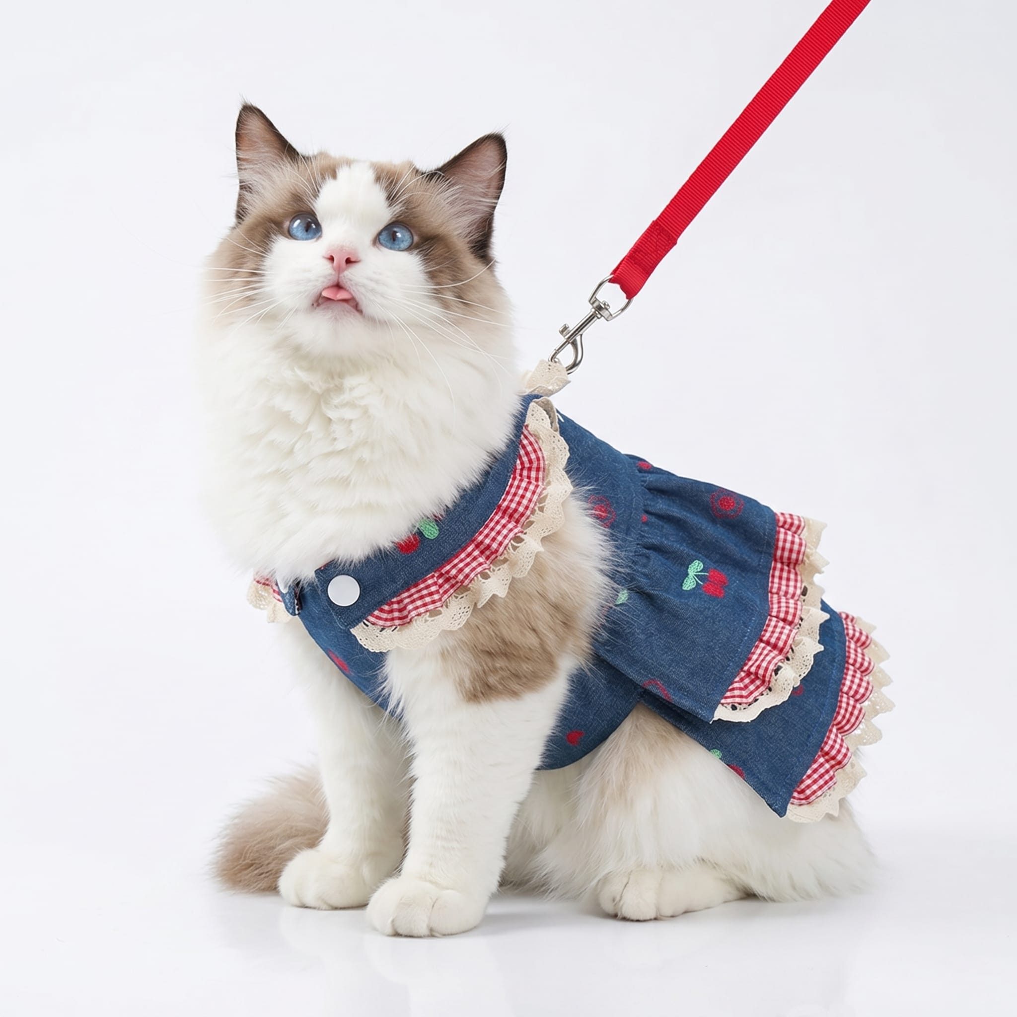 Denim Cherry Cat Dress with Leash Attachment