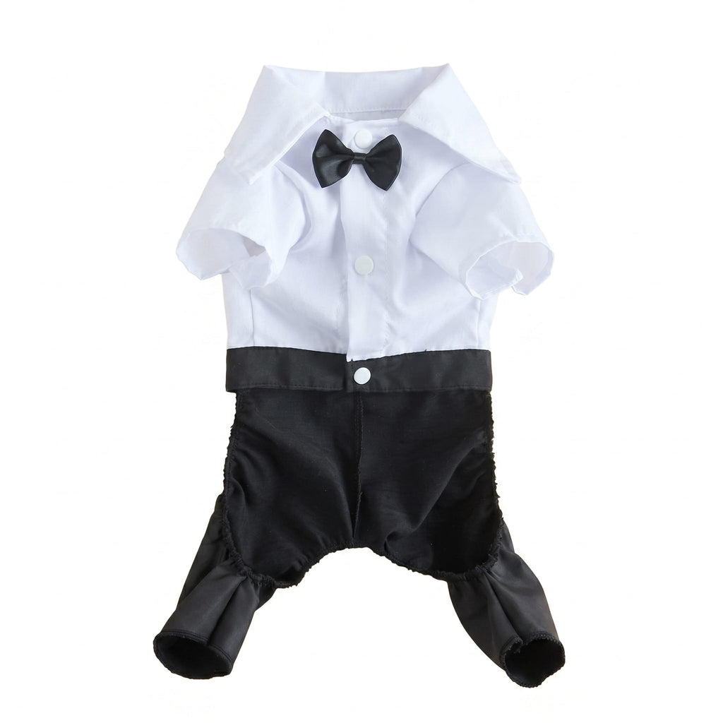 Formal Cat Shirt & Bow Tie Suit