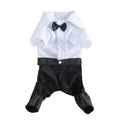 Formal Cat Shirt & Bow Tie Suit