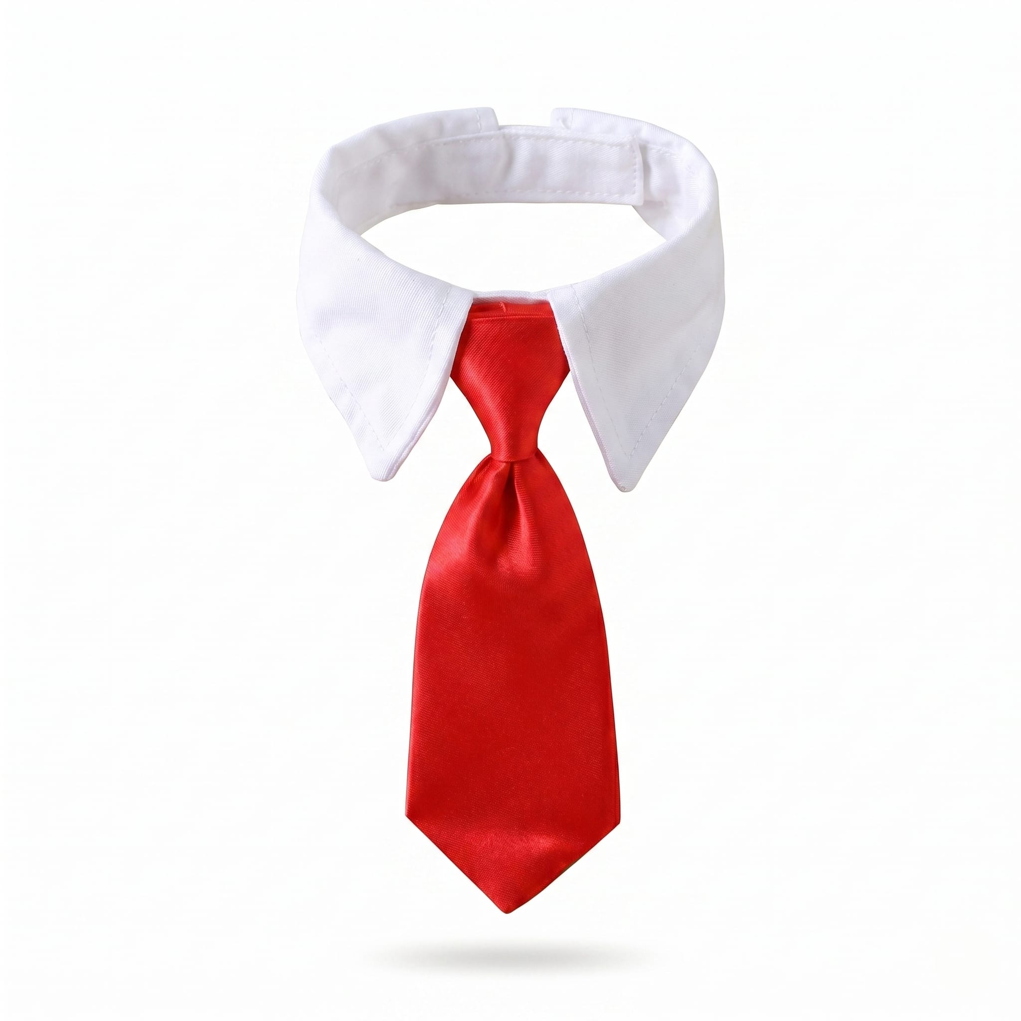 Formal Cat Shirt Collar with Neck Tie