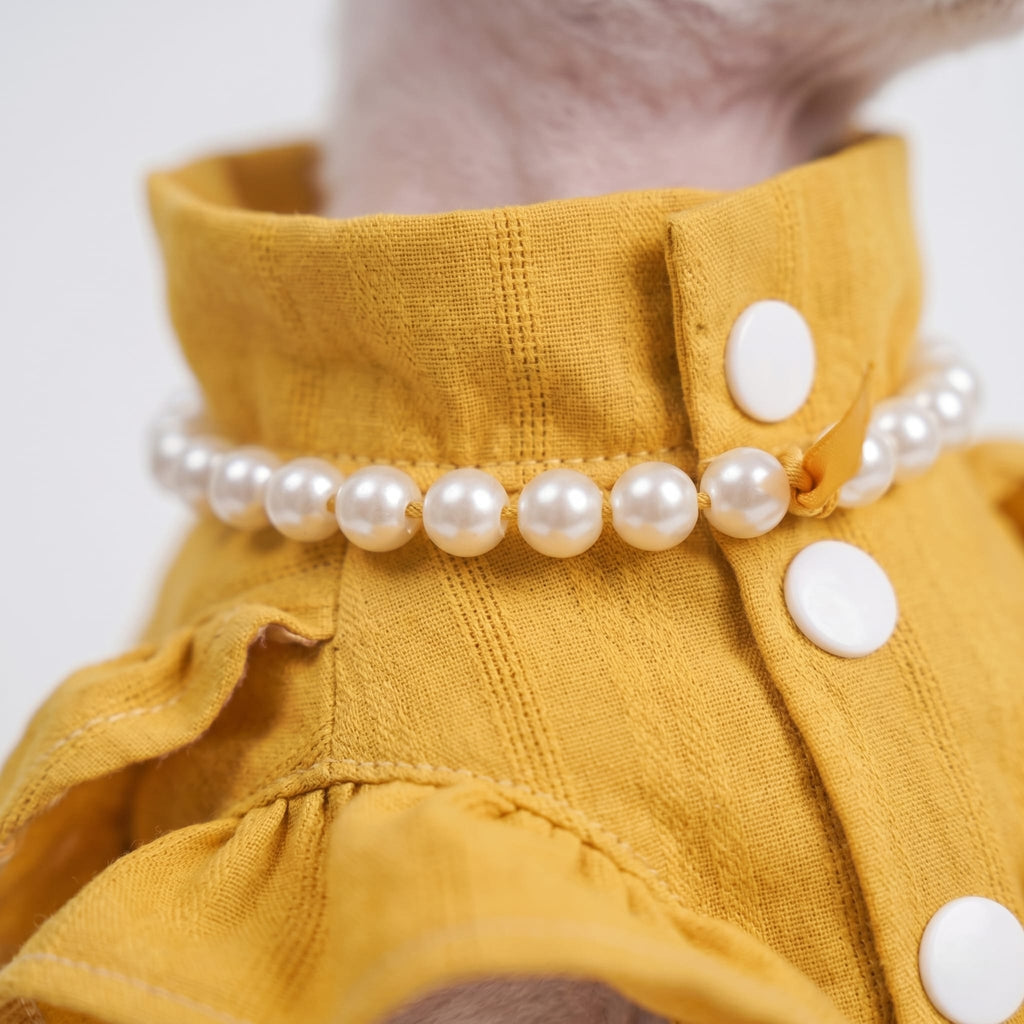 Luxury Golden Bow Designer Cat Dress