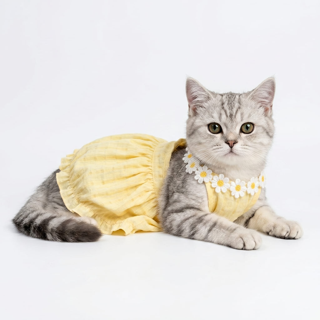 Sunny Lace Trim Cat Summer Dress