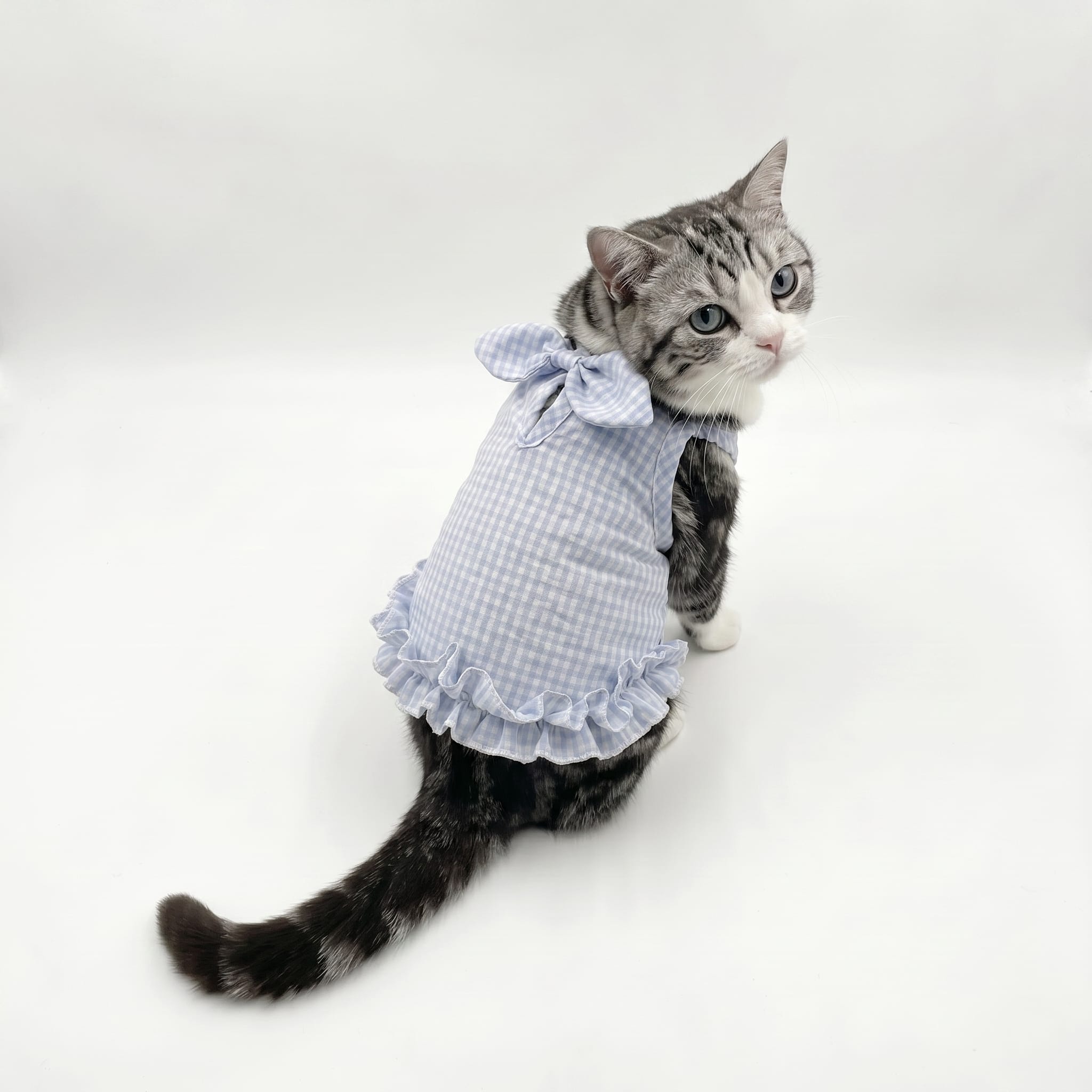 Blue Gingham Ruffle Cat Summer Dress