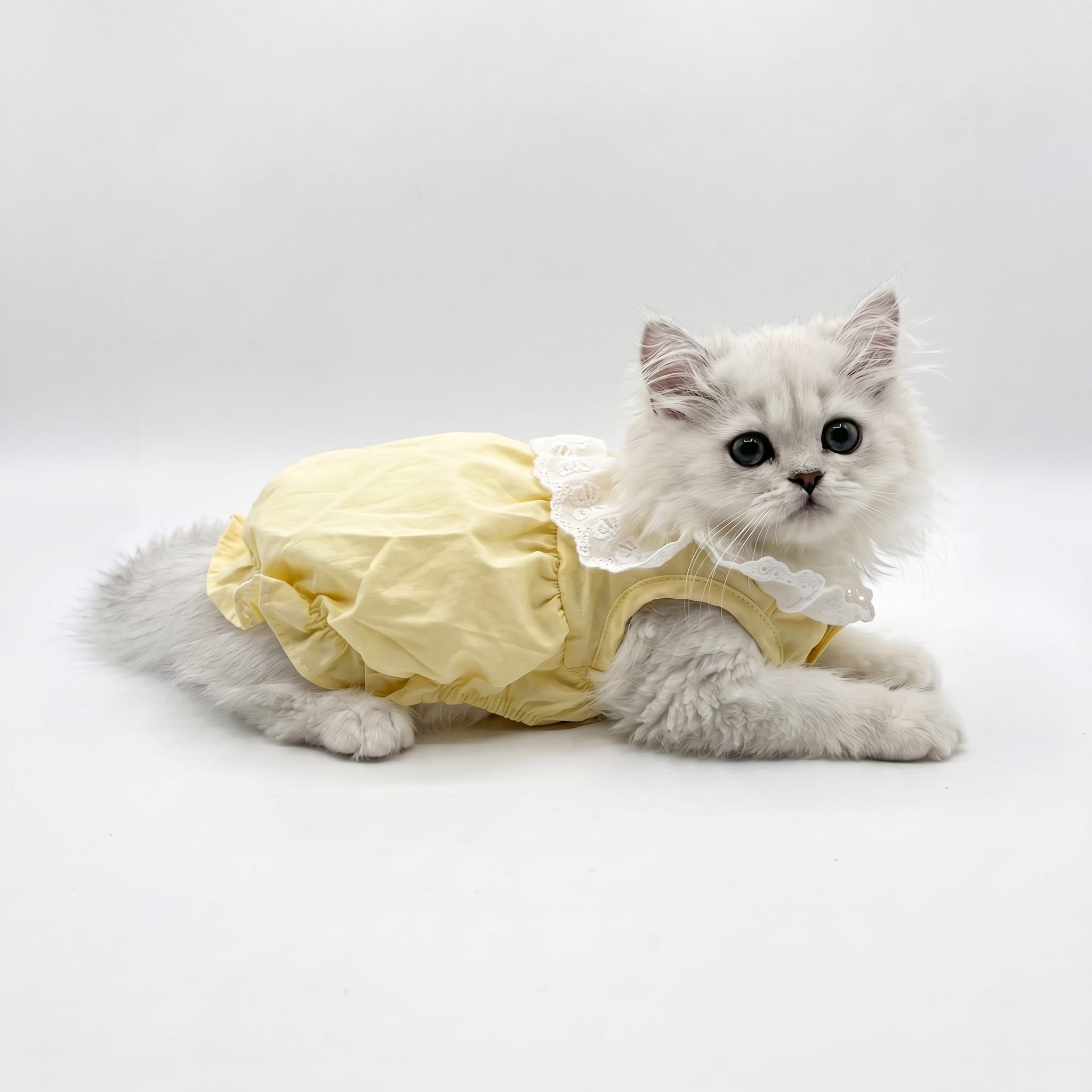 Blush Lace Collar Cat Princess Dress