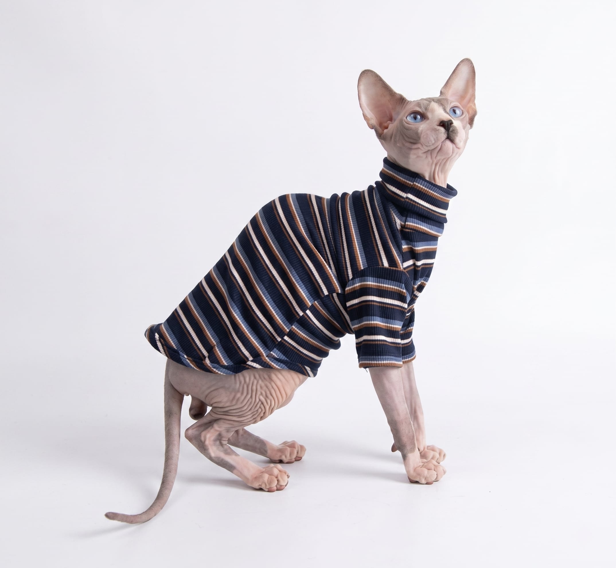 Retro Stripe Cat Knit Sweater