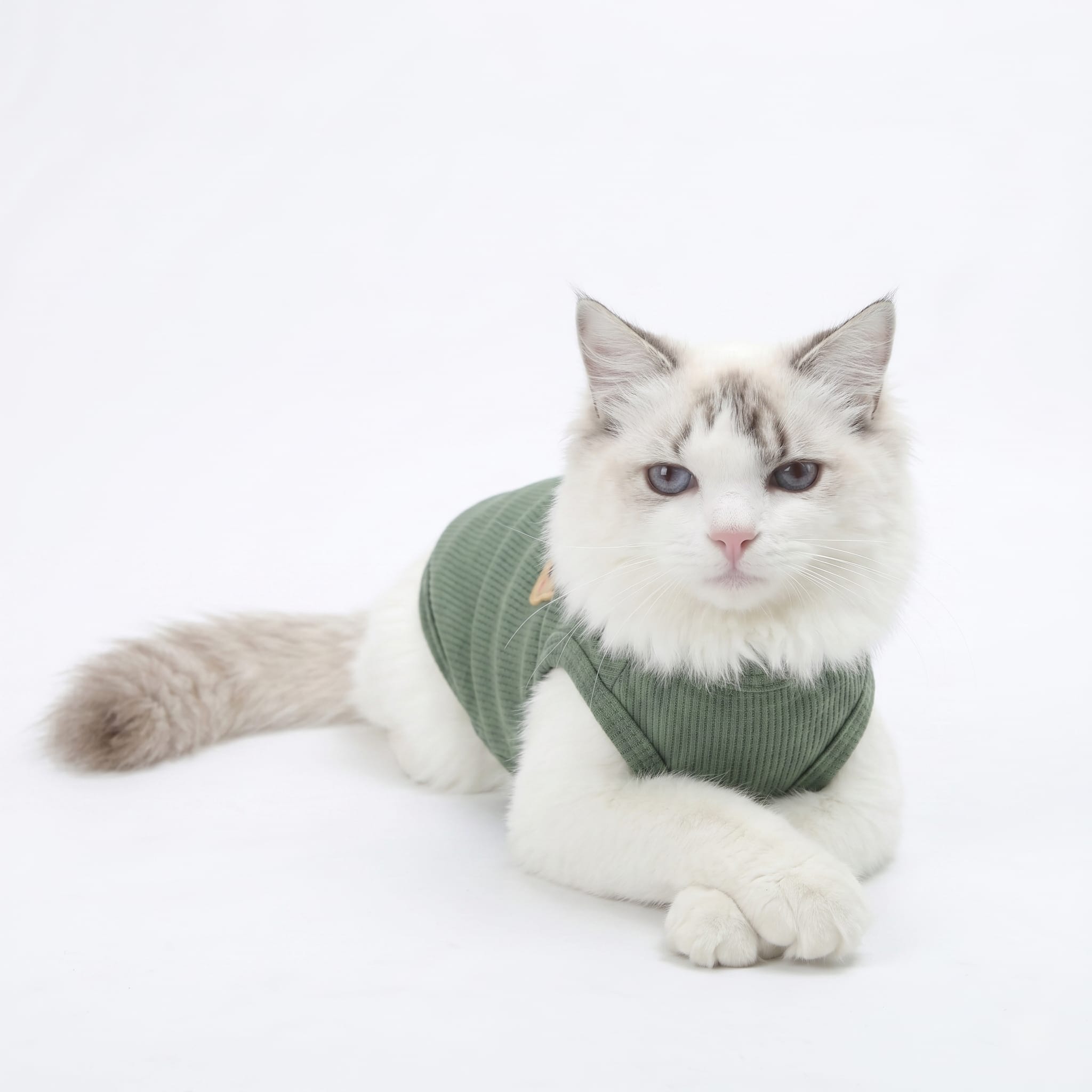 Cozy Knit Cat Tank Sweater