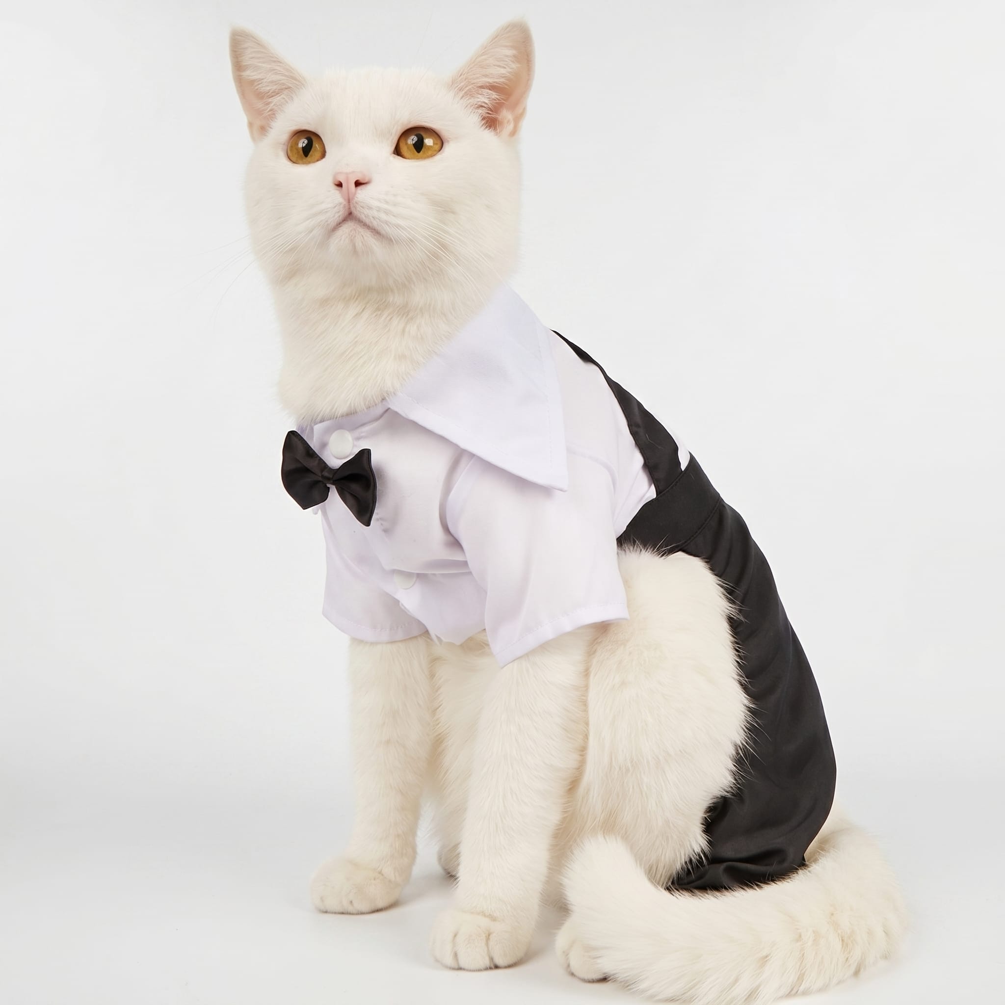 Formal Cat Shirt & Bow Tie Suit