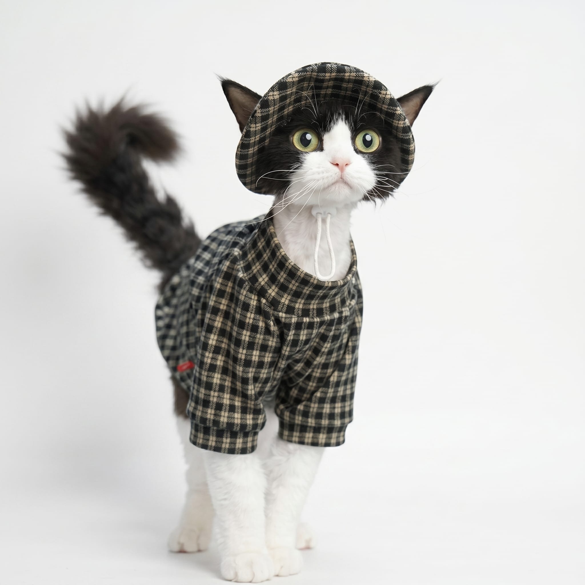 Charlocat®  Plaid Cat Lounge With A Bucket Cap