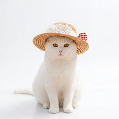 Boutique Straw Cat Hat with Gingham Bow Accent