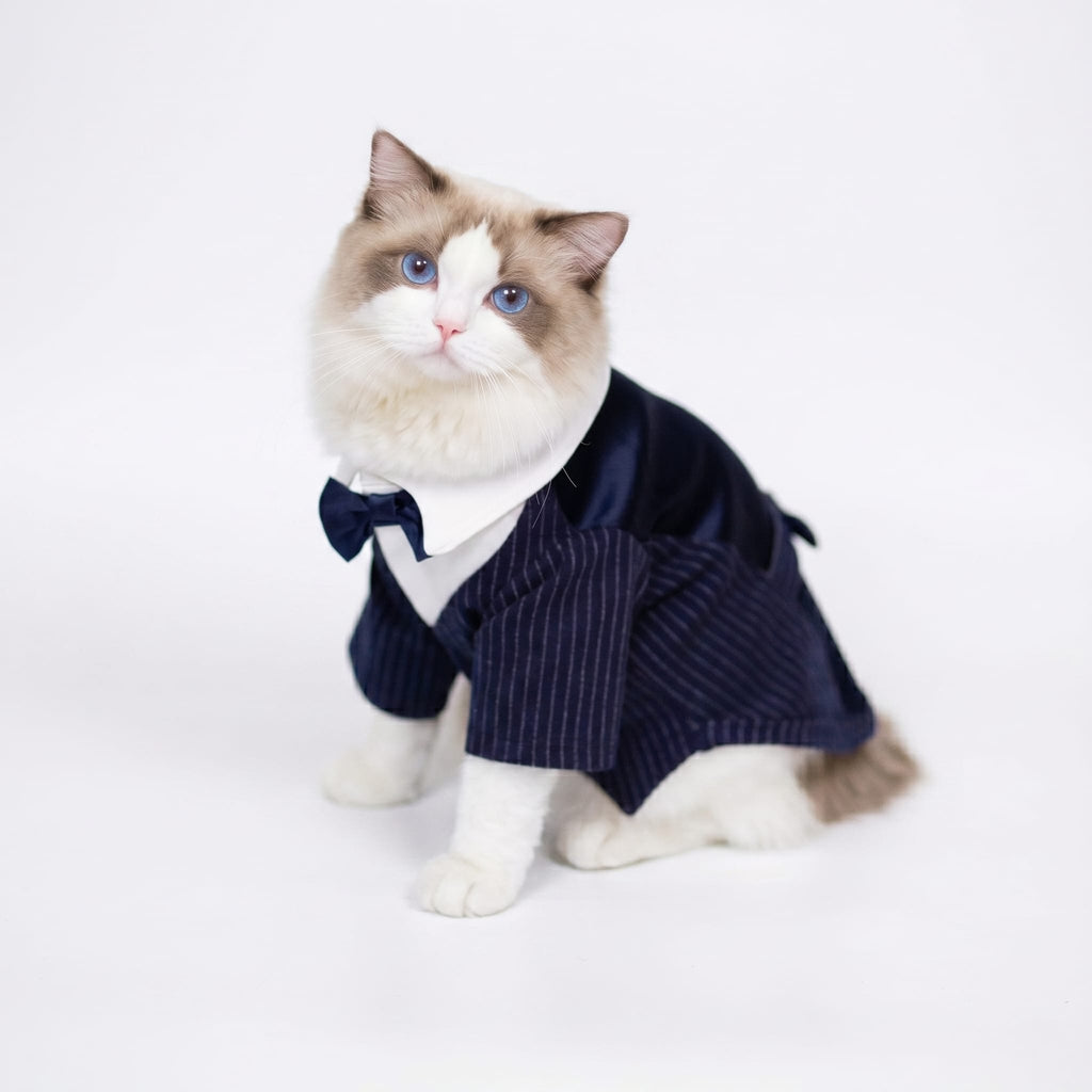Cat Silk Suit With Bow Tie