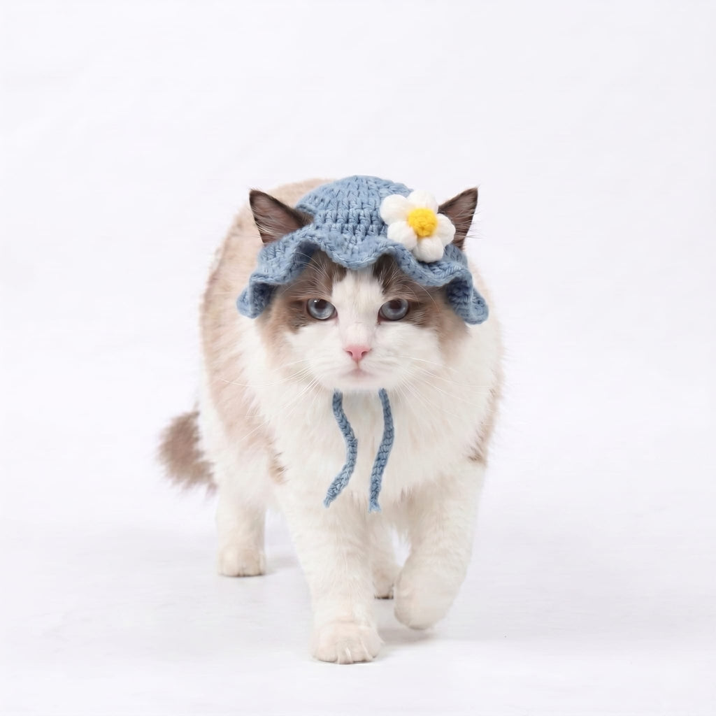 Daisy® Crochet Cat Hat