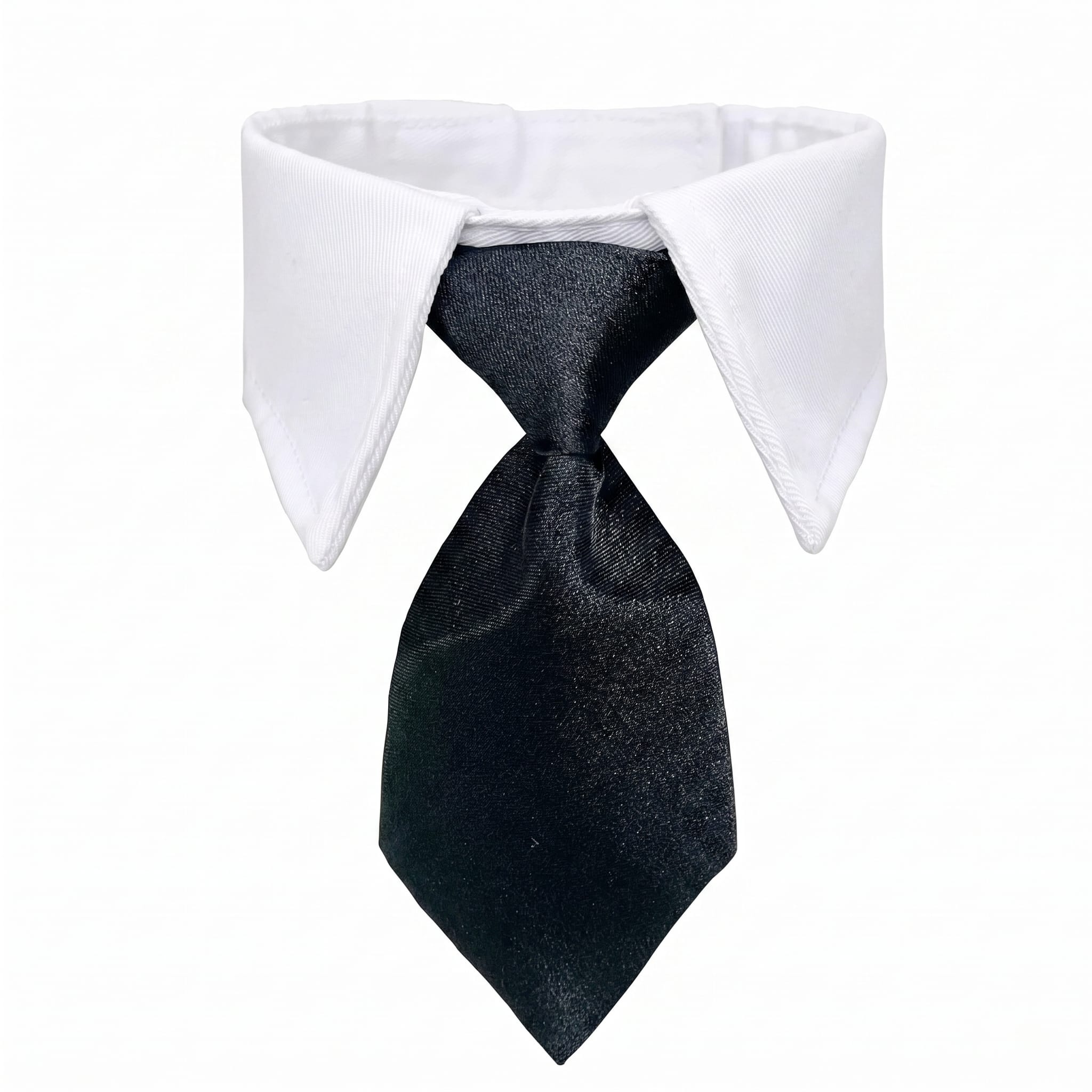 Formal Cat Shirt Collar with Neck Tie
