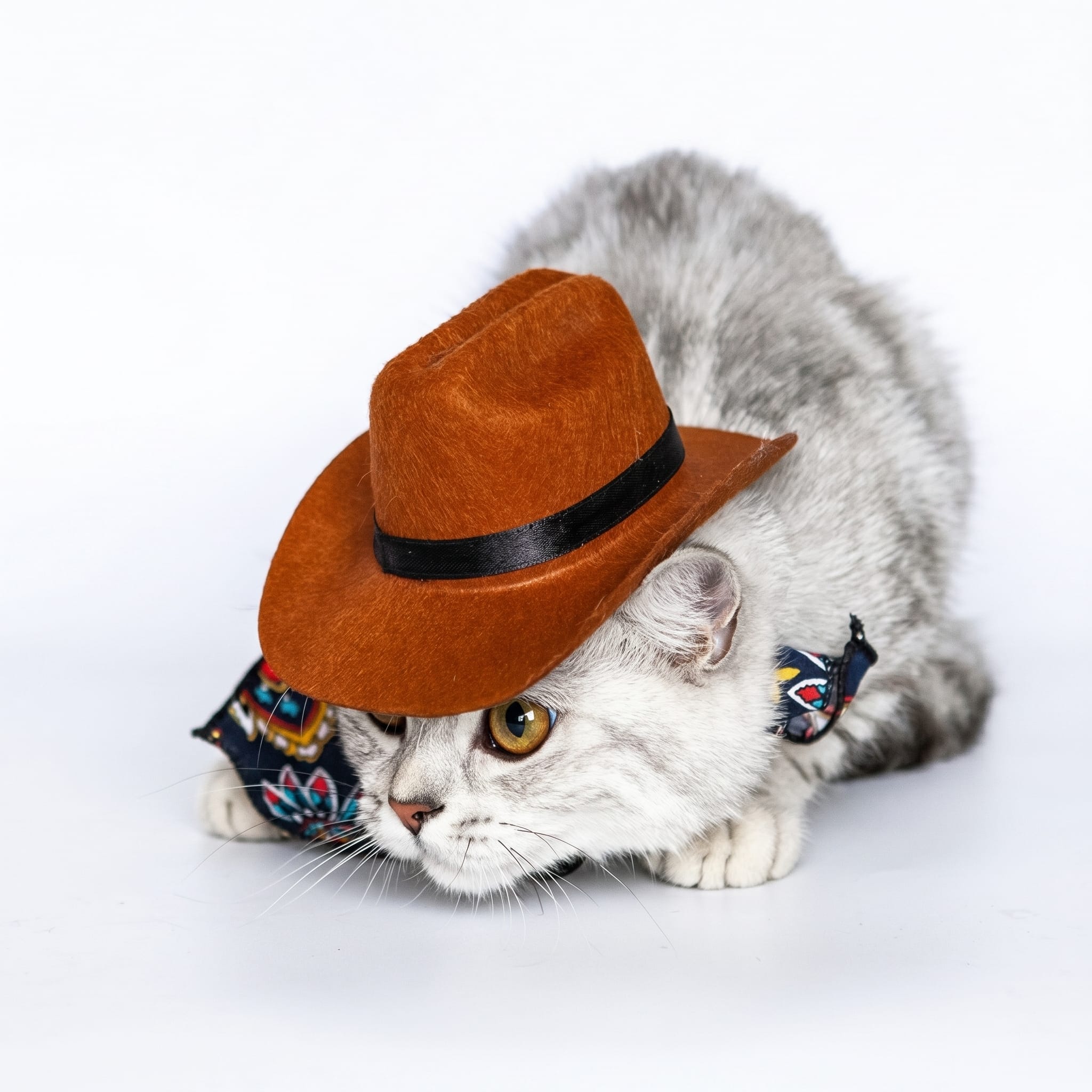 Western Cowboy Cat Costume Hat