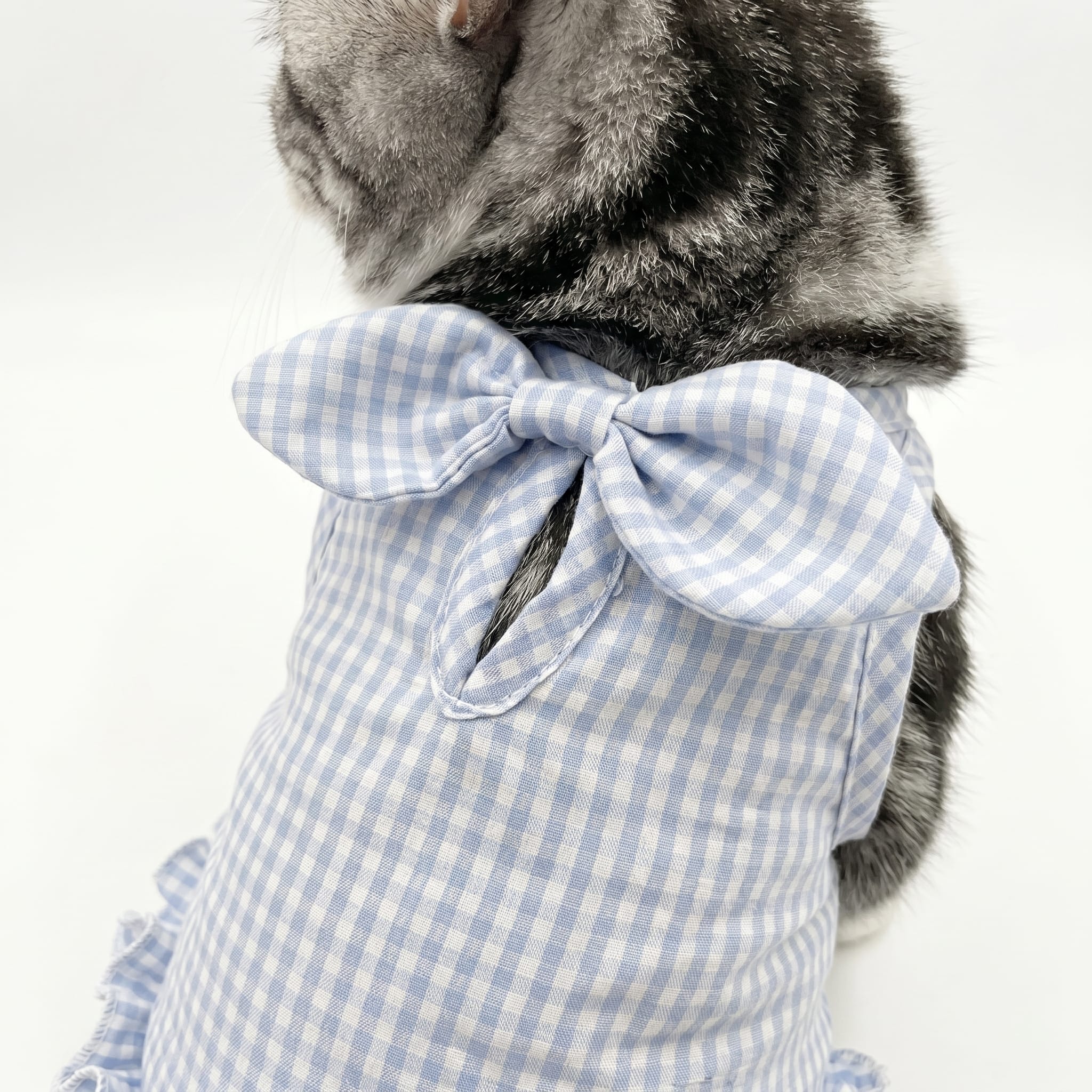 Blue Gingham Ruffle Cat Summer Dress
