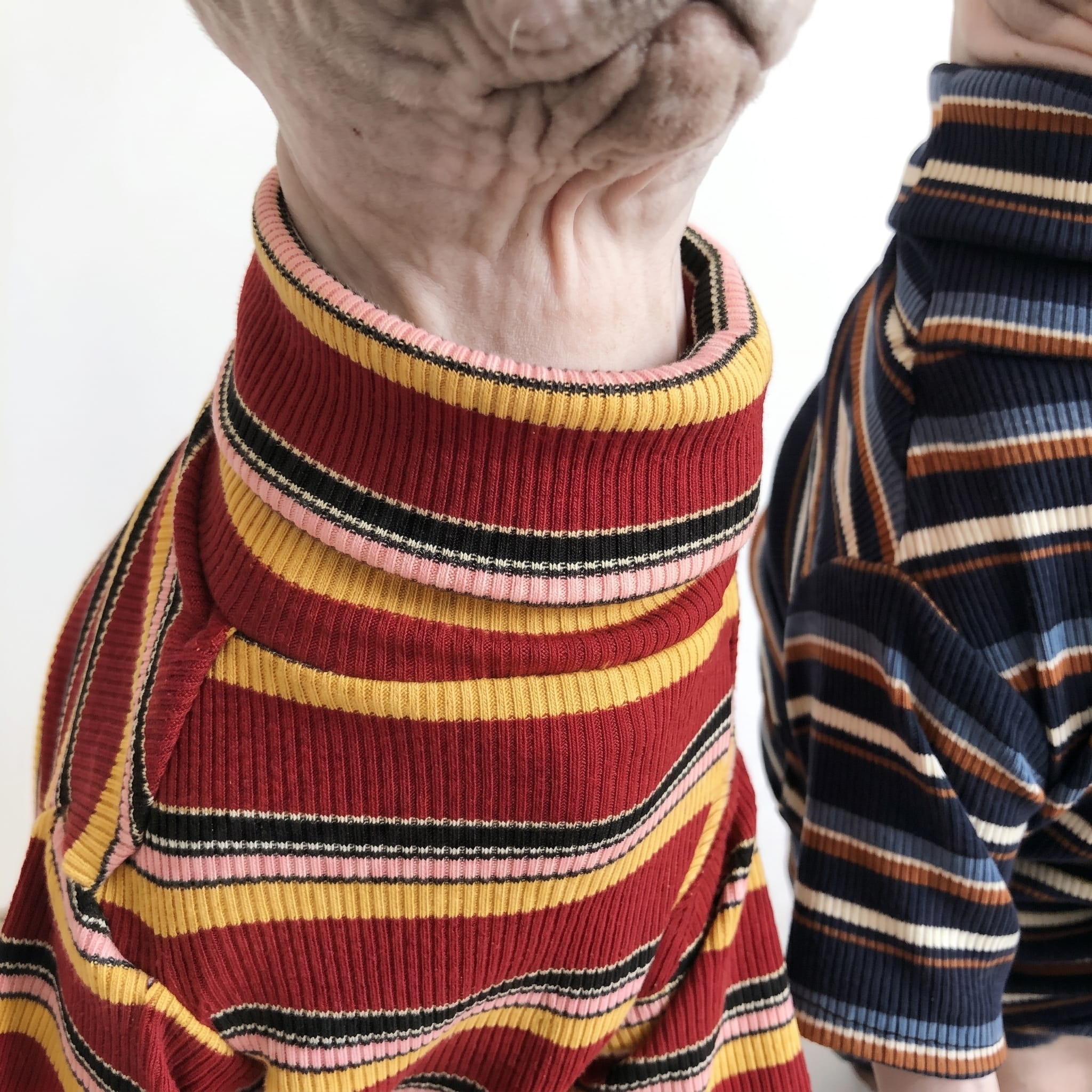 Retro Stripe Cat Knit Sweater