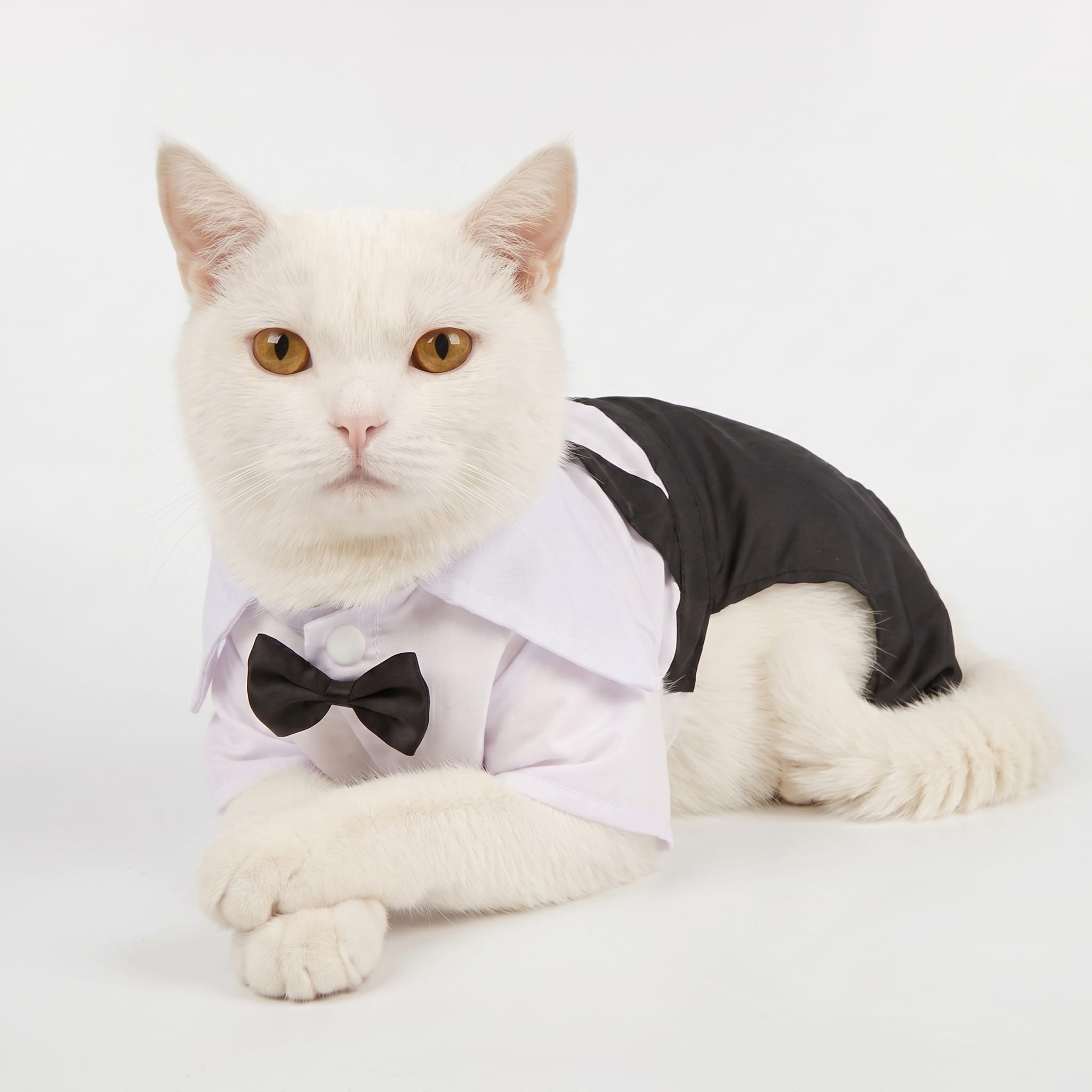 Formal Cat Shirt & Bow Tie Suit