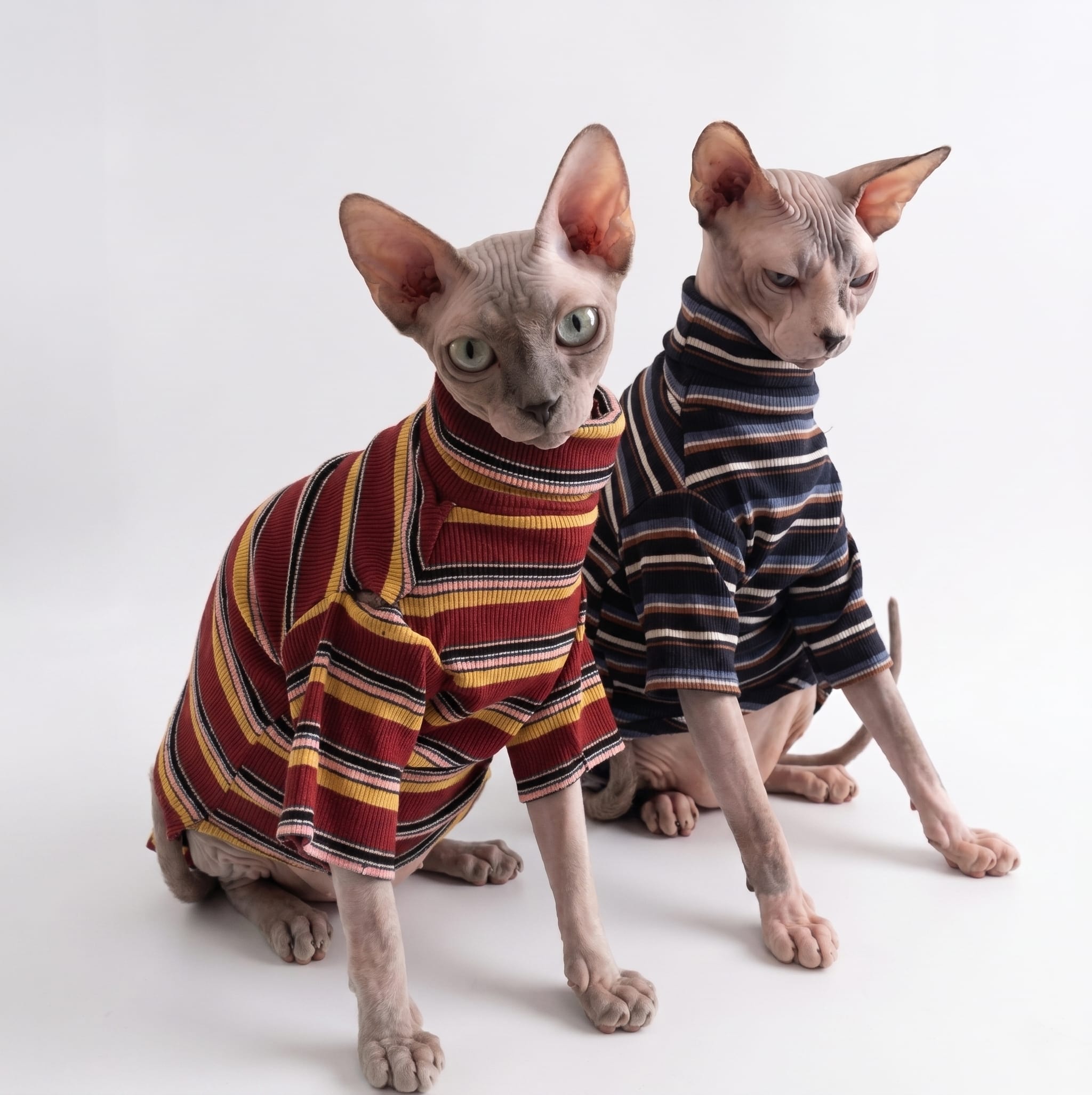 Retro Stripe Cat Knit Sweater