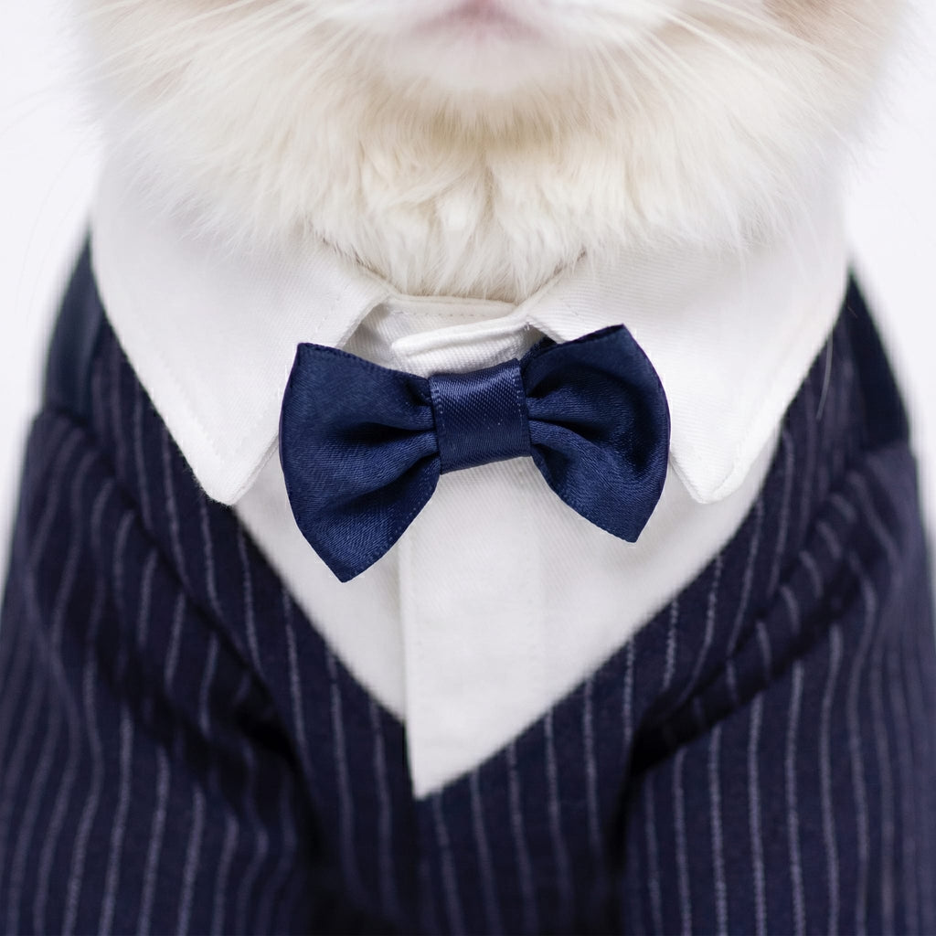 Cat Silk Suit With Bow Tie